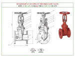 Kinh nghiệm chọn van PCCC chuẩn ANSI hoặc BS EN